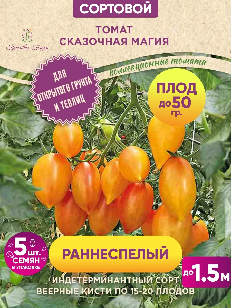 Сказочная магия 500