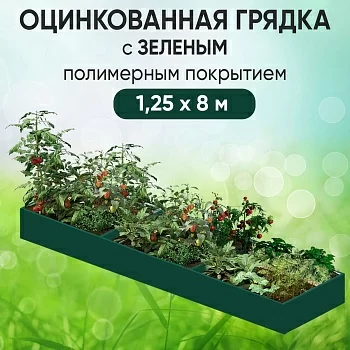 Грядка зеленая (1,25 х 8)