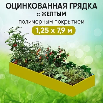 Грядка желтая (1,25 х 7,9)