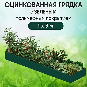 Грядка зеленая (1 х 3)