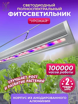 Фитолампа `Урожай`