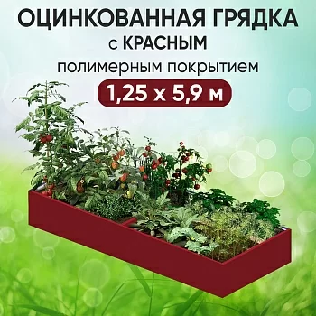 Грядка красная (1,25 х 5,9)